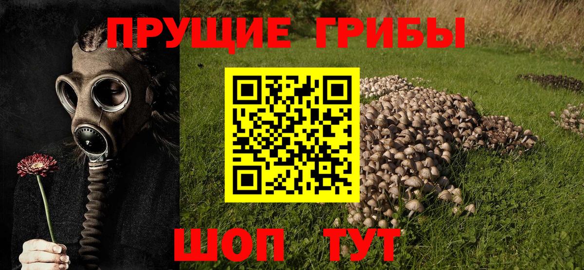 Галлюциногенные грибы GOLDEN TEACHER  Псилоцибиновые грибы ЛСД  Еманжелинск  Вход с VPN 